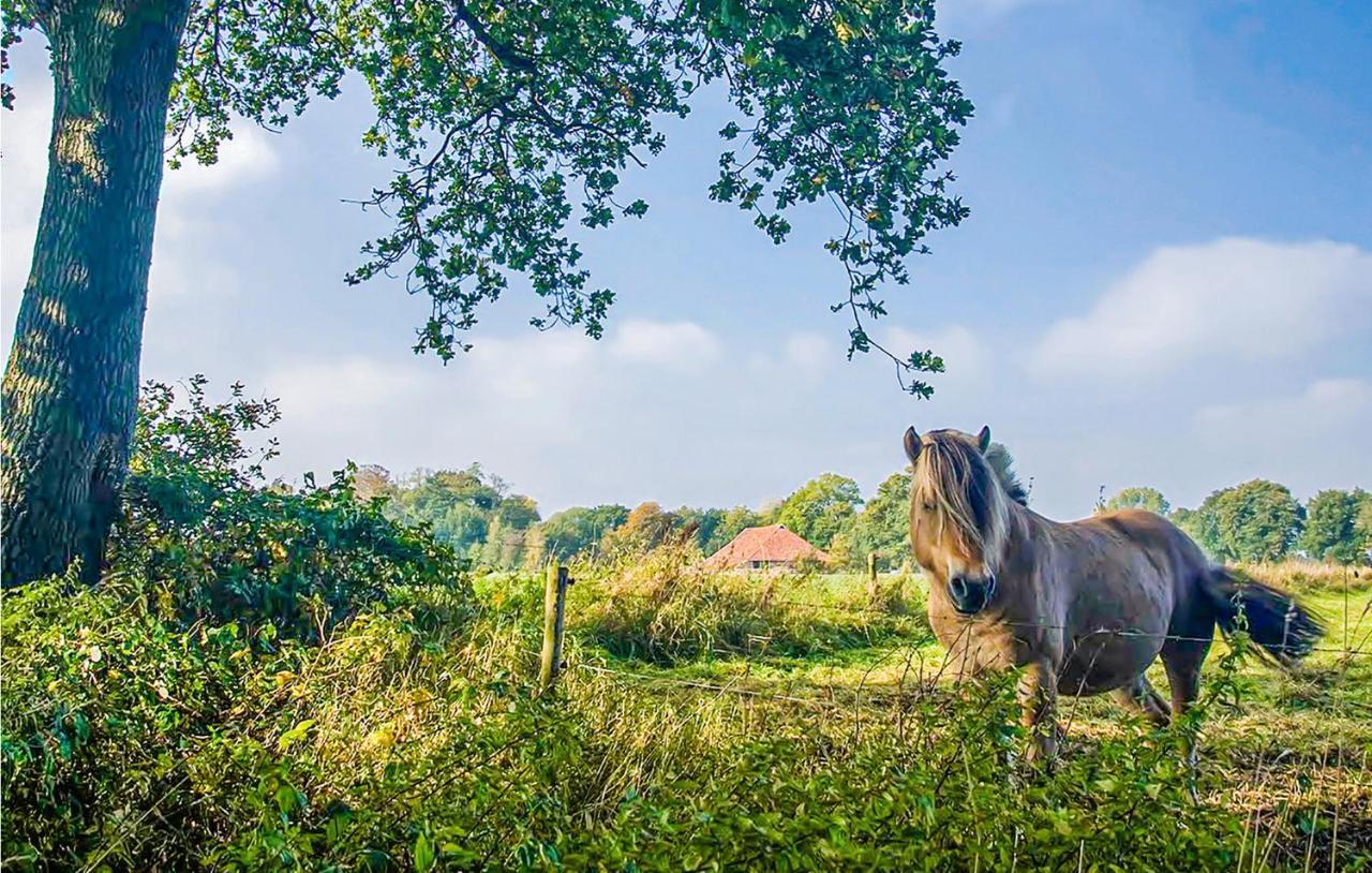 Pet Friendly Home In Vlagtwedde With Wifi Buitenkant foto