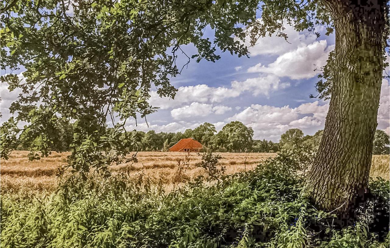 Pet Friendly Home In Vlagtwedde With Wifi Buitenkant foto
